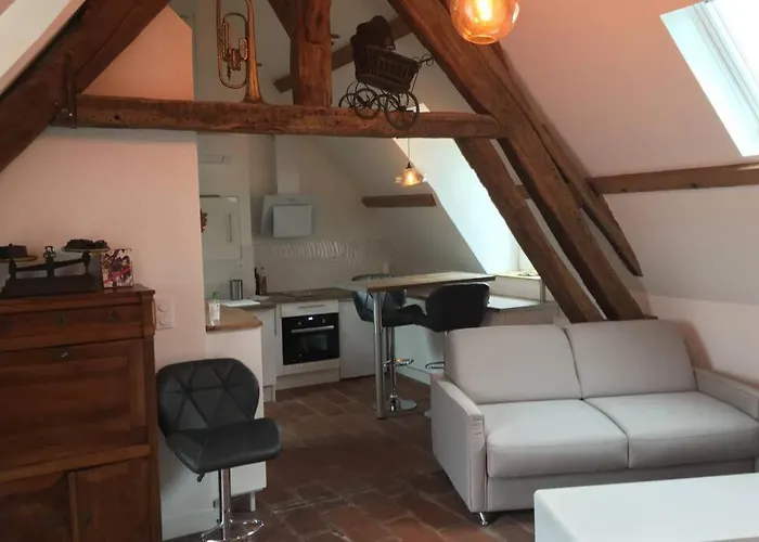 La Terrasse Du Chevalier D\'Eon - Loft A Tonnerre