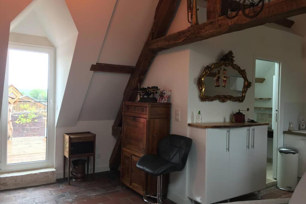 La Terrasse Du Chevalier D'eon - Loft A Tonnerre